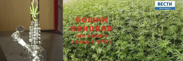 гашишное масло Алзамай